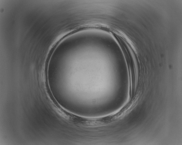 X0000051250795200506171134