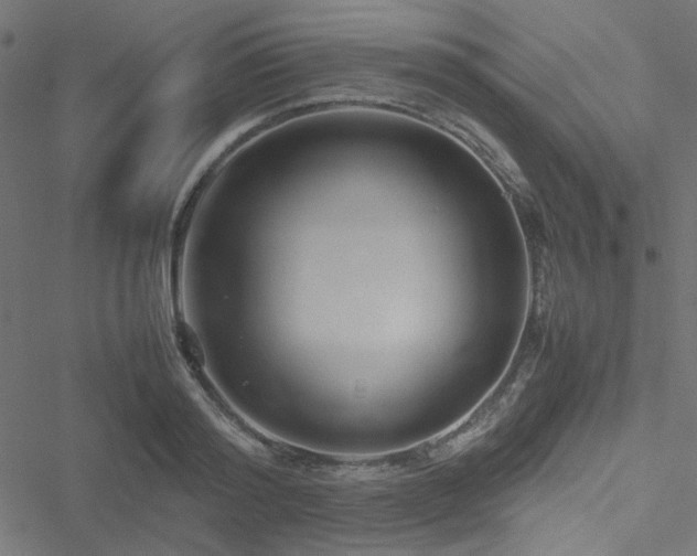 X0000051250796200506171134