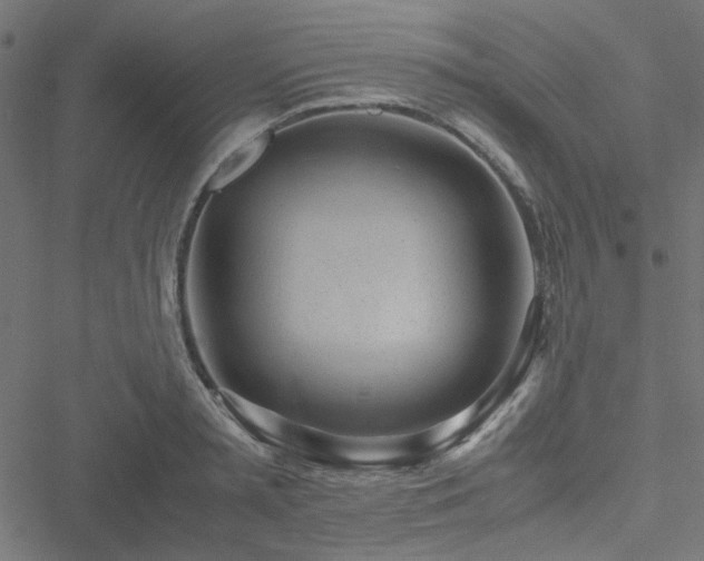 X0000051250797200506171134