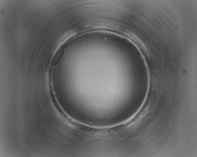 X0000051250798200506171134