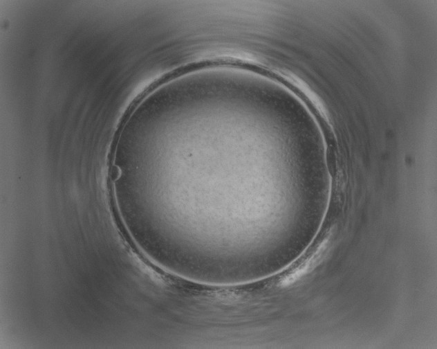 X0000051250799200506171134