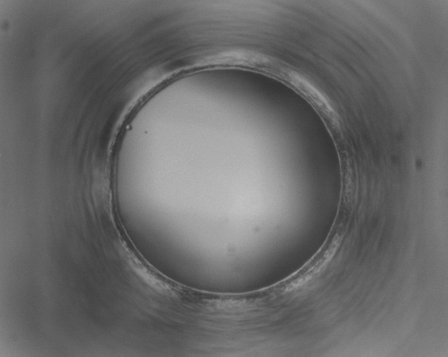 X0000051250800200506171134