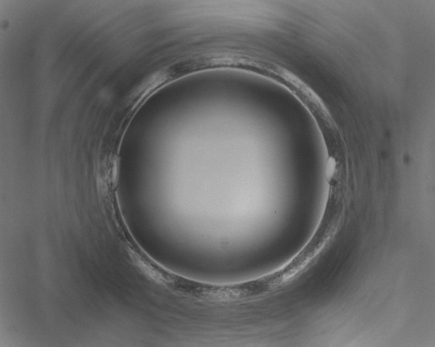 X0000051250801200506171134