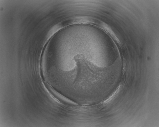 X0000051250802200506171134