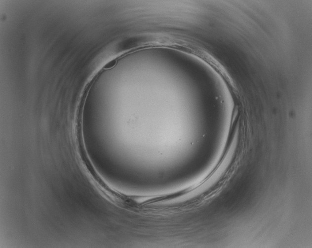 X0000051250803200506171134