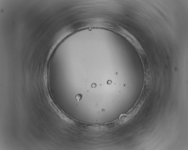 X0000051250804200506171134