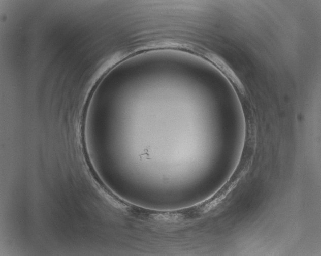 X0000051250805200506171134