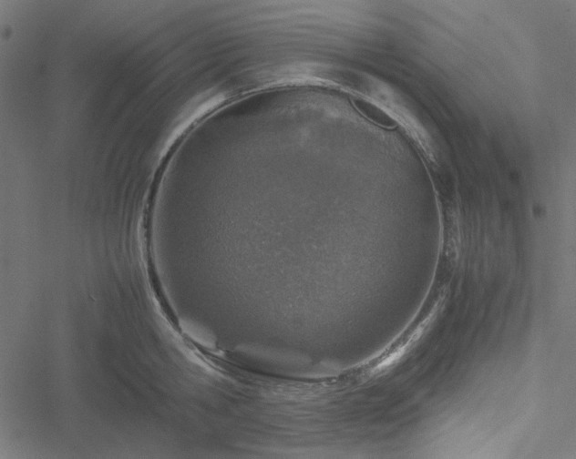 X0000051250806200506171134