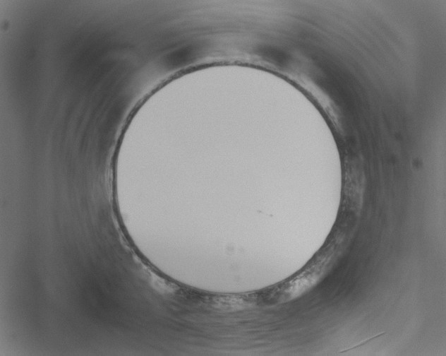 X0000051250807200506171134