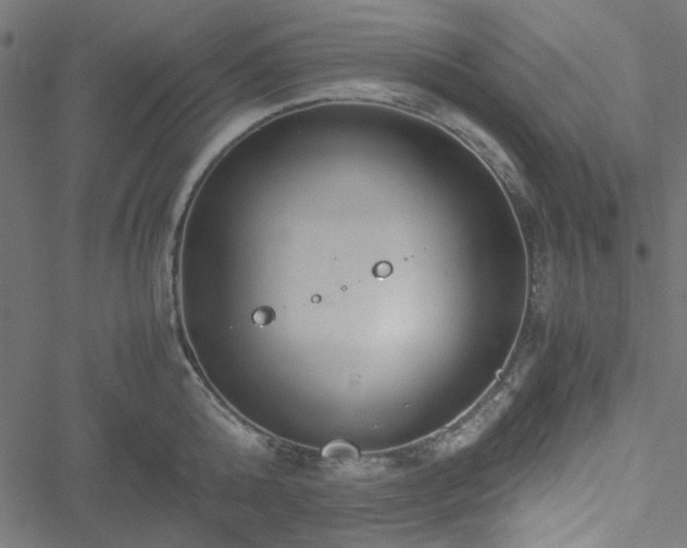 X0000051250808200506171134