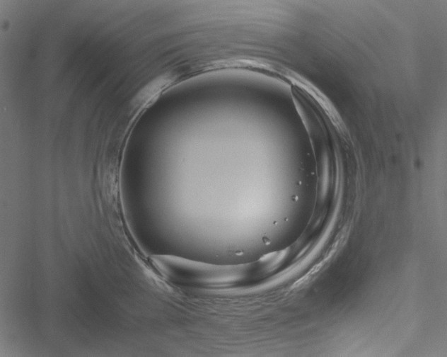 X0000051250809200506171134