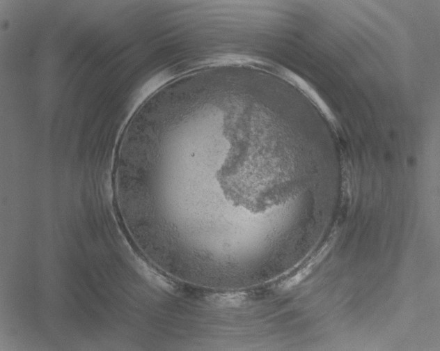 X0000051250810200506171134