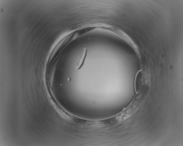 X0000051250811200506171134