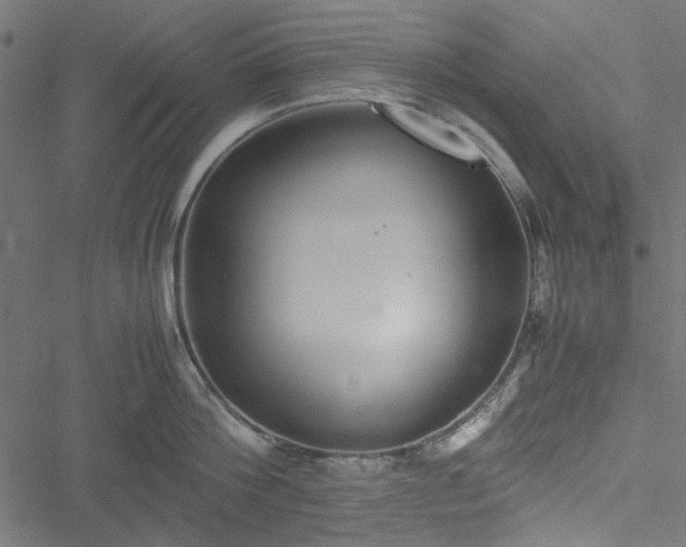 X0000051250812200506171134