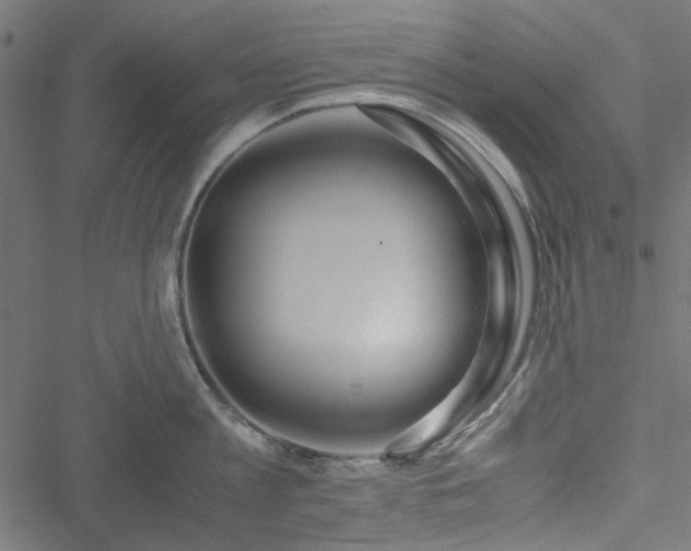 X0000051250813200506171134