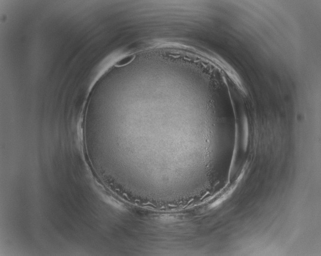 X0000051250814200506171134