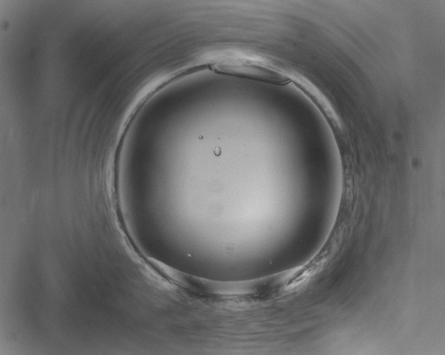 X0000051250815200506171134