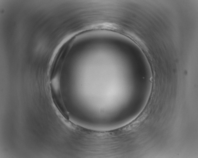 X0000051250816200506171134