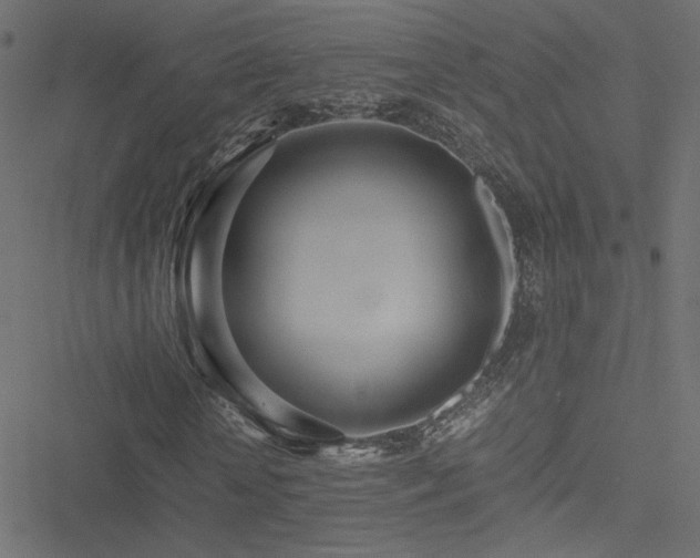 X0000051250818200506171133