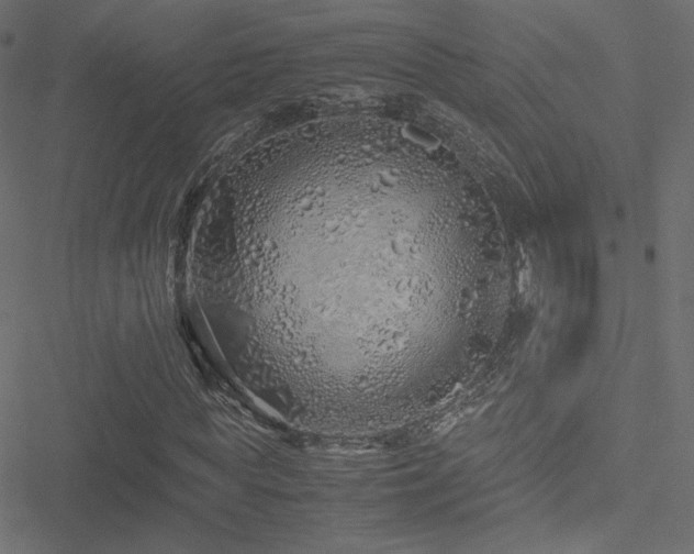 X0000051250819200506171133