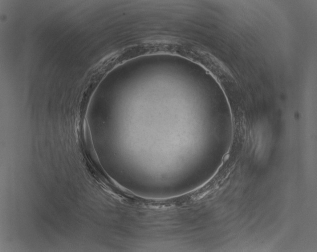 X0000051250821200506171133