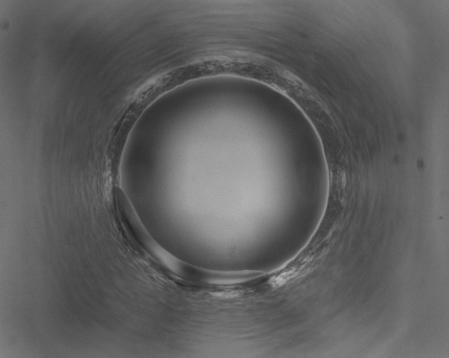 X0000051250822200506171133