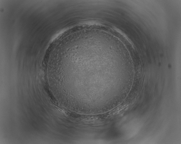 X0000051250823200506171133