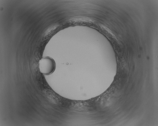 X0000051250824200506171133