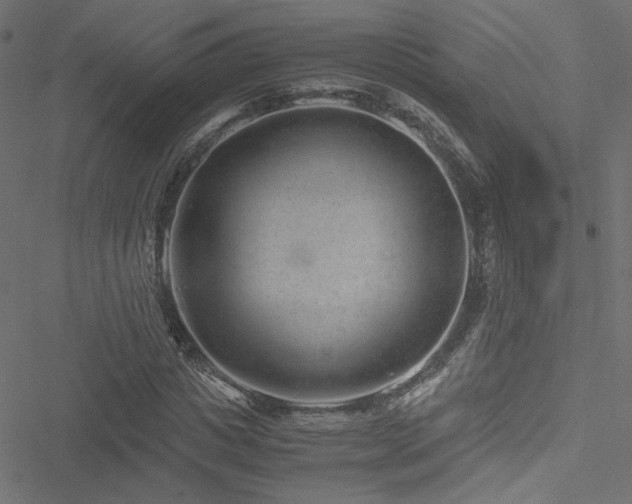 X0000051250825200506171133