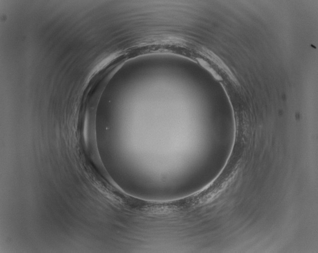 X0000051250826200506171133