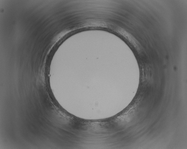 X0000051250828200506171133