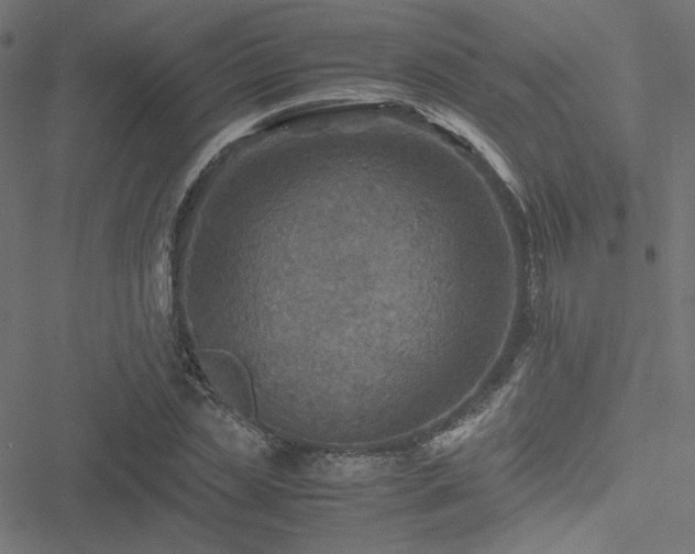 X0000051250829200506171133