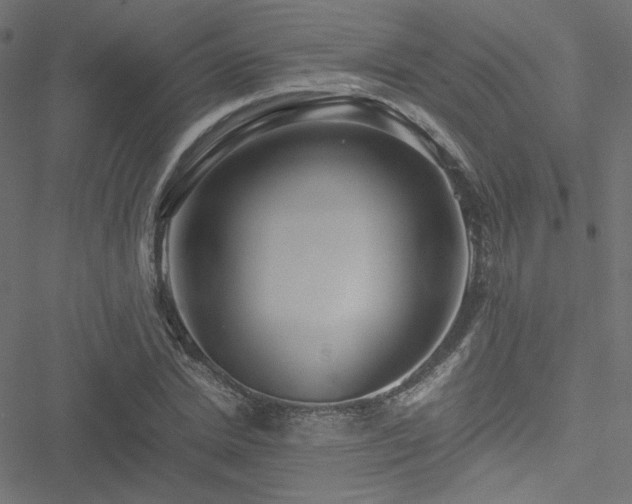 X0000051250830200506171133