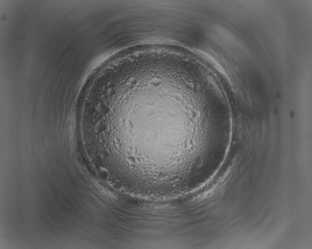 X0000051250831200506171133