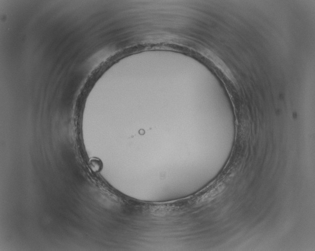 X0000051250832200506171133