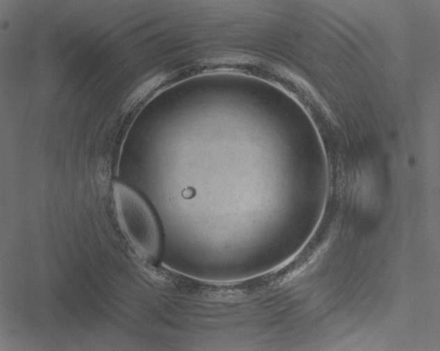 X0000051250833200506171133