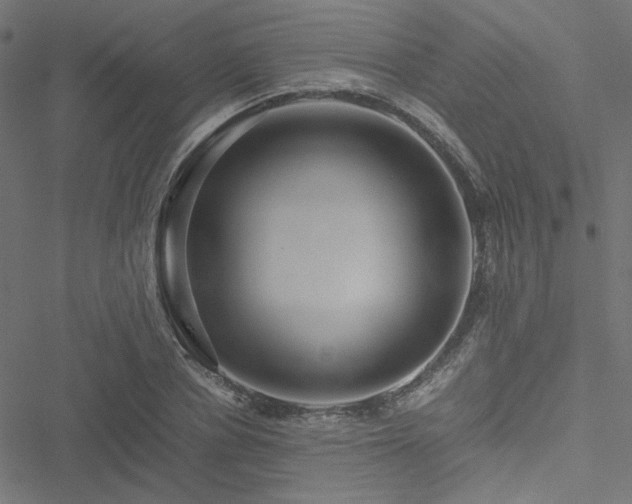 X0000051250834200506171133