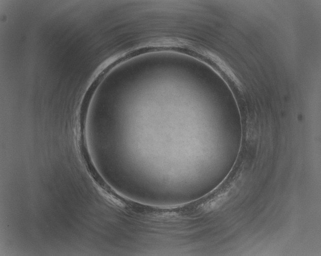 X0000051250837200506171133