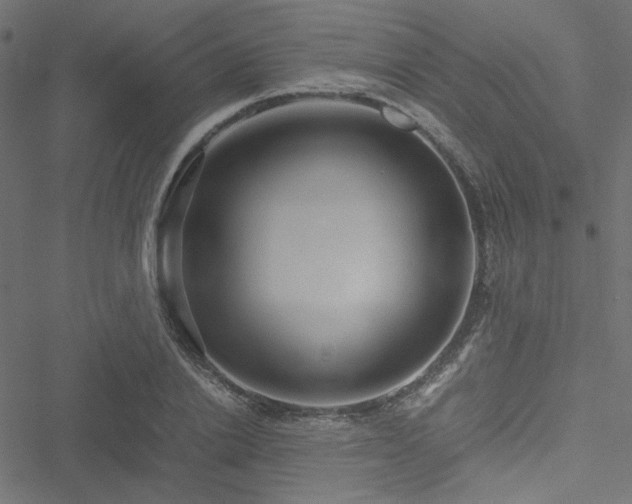 X0000051250838200506171133