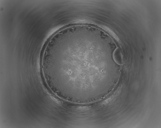 X0000051250839200506171133