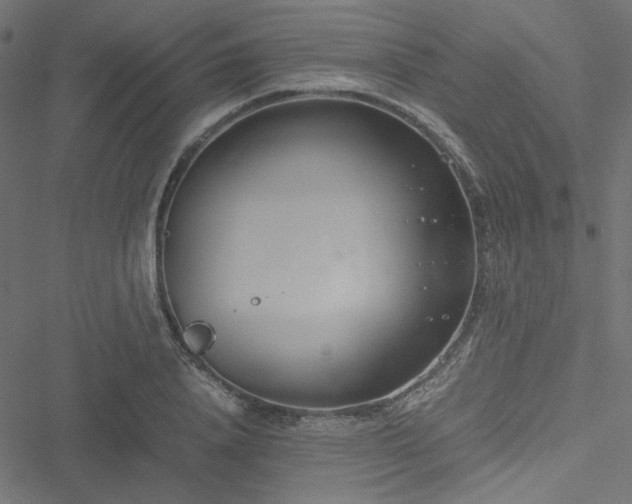 X0000051250840200506171133