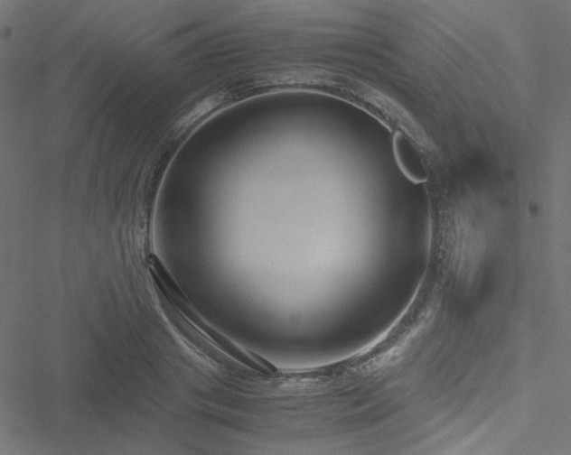 X0000051250841200506171134