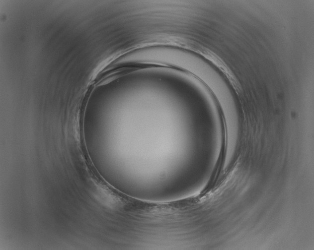 X0000051250842200506171134