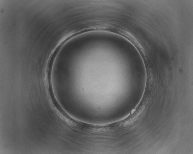 X0000051250843200506171134