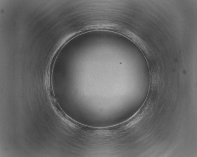 X0000051250844200506171134