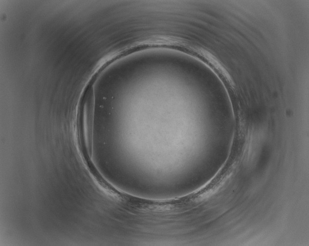 X0000051250845200506171134