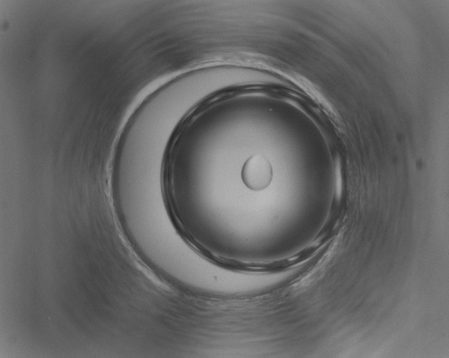 X0000051250846200506171134