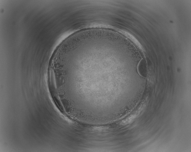 X0000051250847200506171134