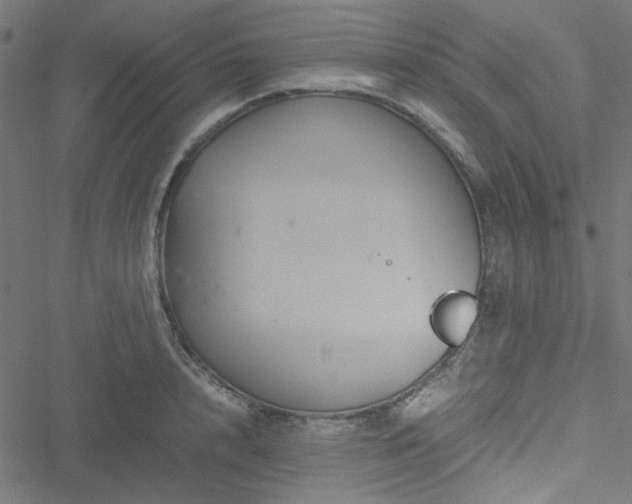 X0000051250848200506171134