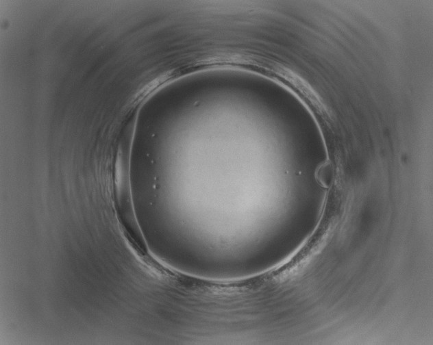 X0000051250849200506171134